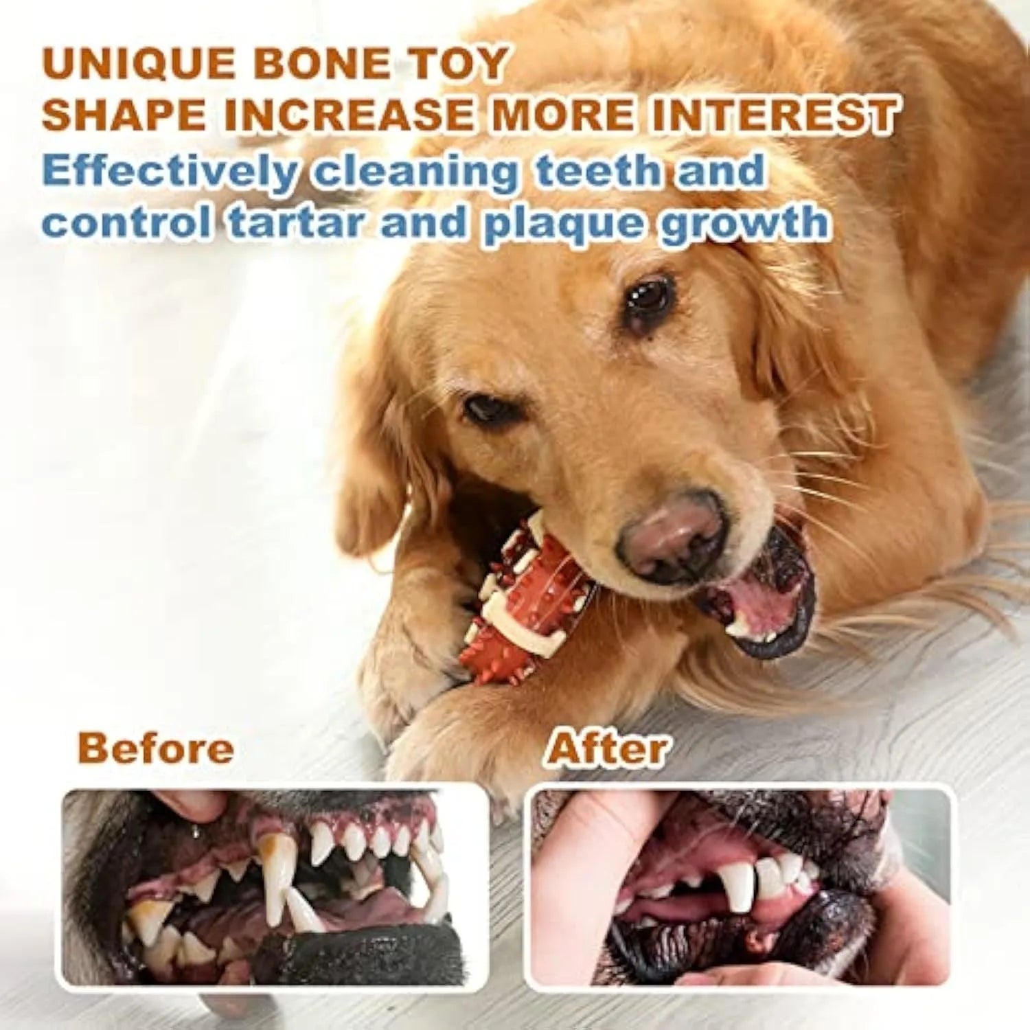 Natural rubber bone-shaped dog molar chew toy shown in two sizes for teeth grinding