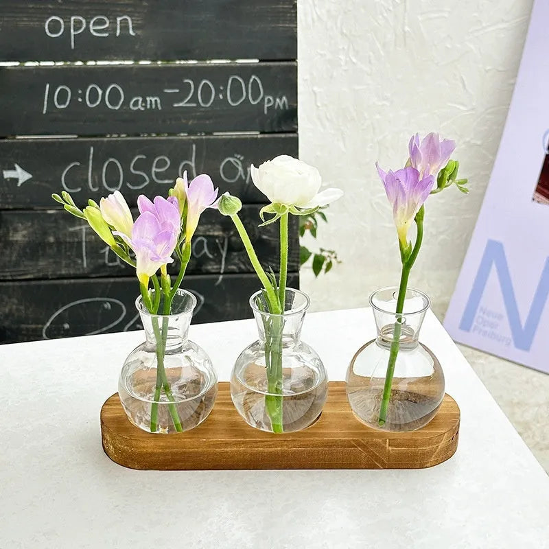 Wooden frame holding transparent glass hydroponic vases in modern home setting