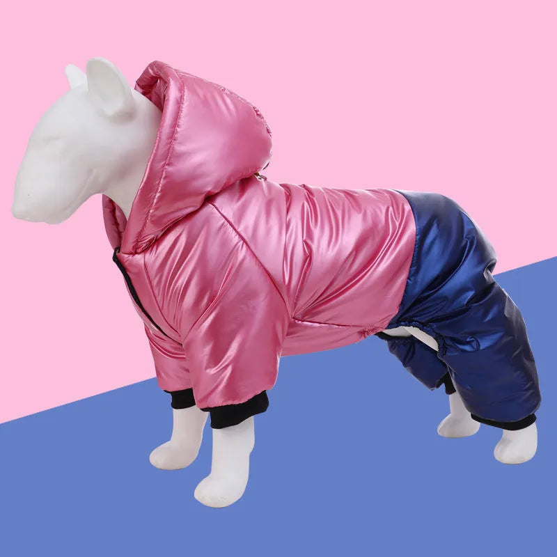 Green waterproof cotton padded dog coat with four-legged design on medium-sized dog