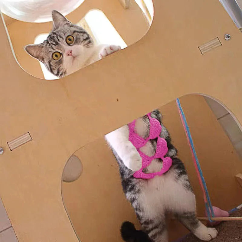 Cat wearing sweet style bikini costume in multiple colour options for Halloween and party events