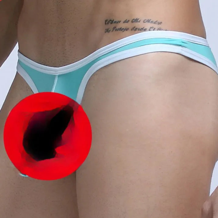 Men's Ice Silk underwear briefs with small nose elephant design in multiple colour options