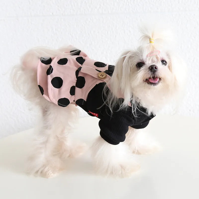 Petstyle lapel collar dog clothing in a four-legged suit style on a model dog.