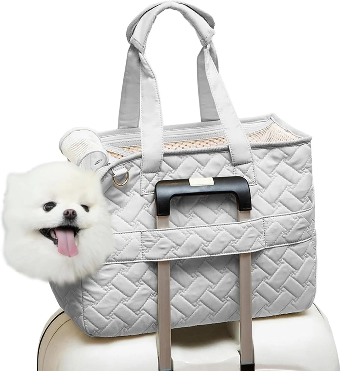 Grey nylon pet carrier handbag with mesh panels and a soft interior for a cat or small dog.