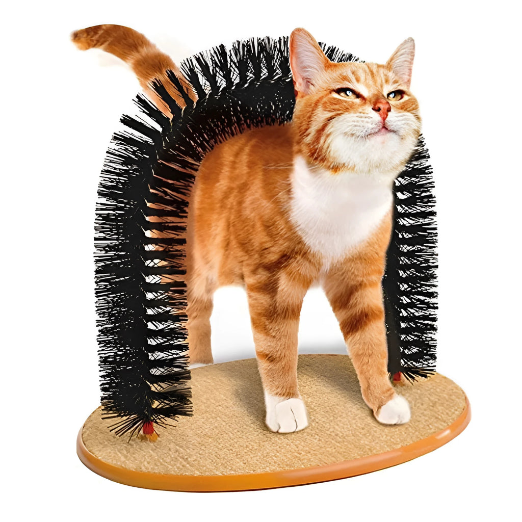 Arched plastic cat grooming toy with built-in brush bristles for scratching and rubbing.