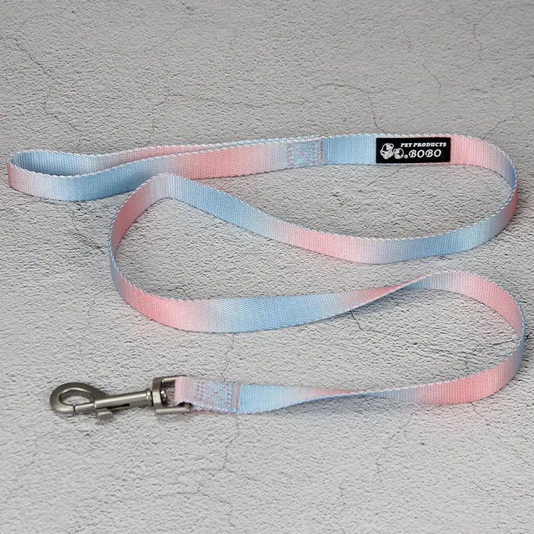 Gradient colour nylon dog leash in pink and yellow, shown as a collar-style lead.