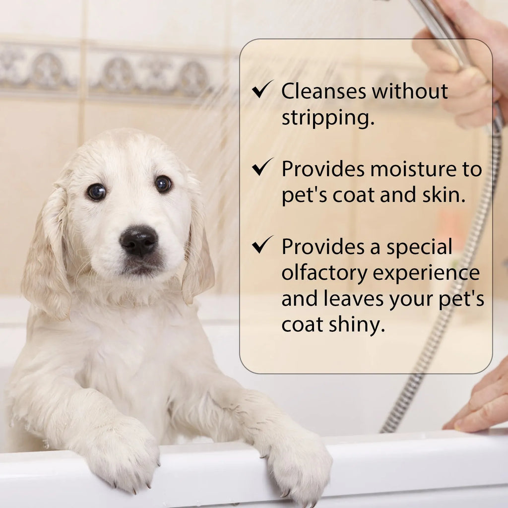 100ml and 300ml bottles of mild pet shampoo for dogs on a white background.