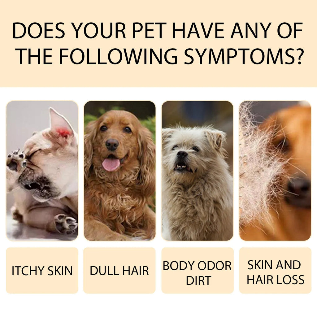 100ml and 300ml bottles of mild pet shampoo for dogs on a white background.