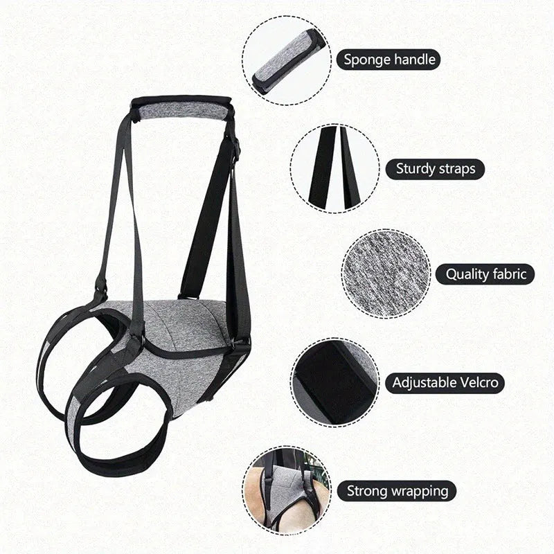 Grey neoprene recovery belt for injured dog rear leg support with adjustable fastenings