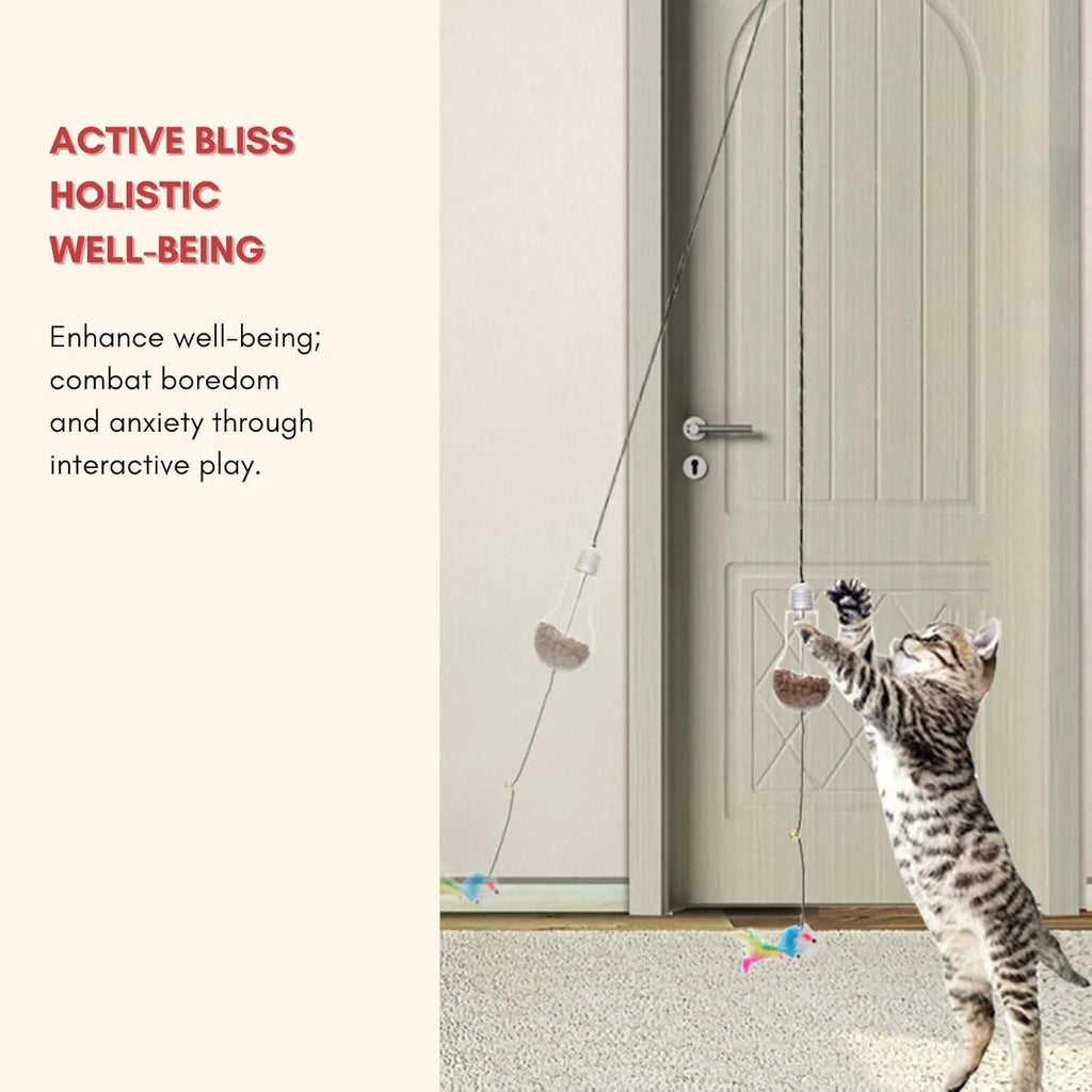 Interactive cat toy hanging from door frame with elastic rope, treat dispenser bulb, and dangling mouse accessory