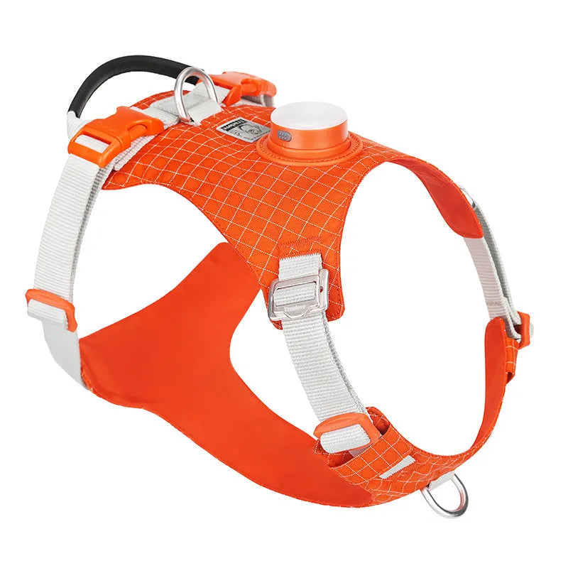 Nylon dog harness with integrated LED safety lights in multiple colour options