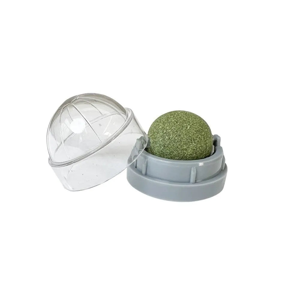 Plastic catnip ball toy with teeth cleaning design in various colours including pink, blue, green, and avocado mint