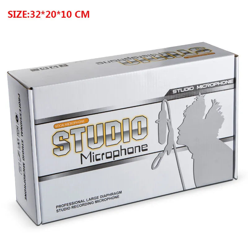 Retro-style professional condenser microphone in FG2 colour with USB-C cable for karaoke and recording.