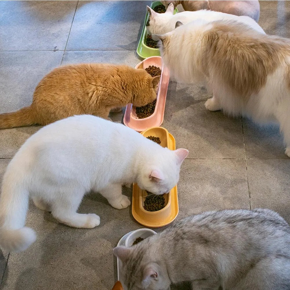 Green leakproof pet bowl set with raised feeding platform for dogs or cats.