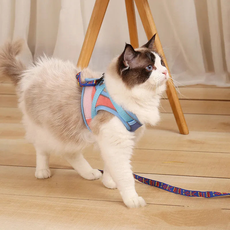 Anti escape reflective cat harness leash in suede with chest girth sizing for small to large cats