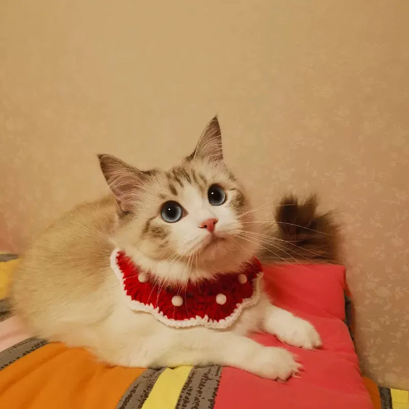 Hand-knitted milk cotton pet collar with cartoon embroidery in customisable colours and sizes.