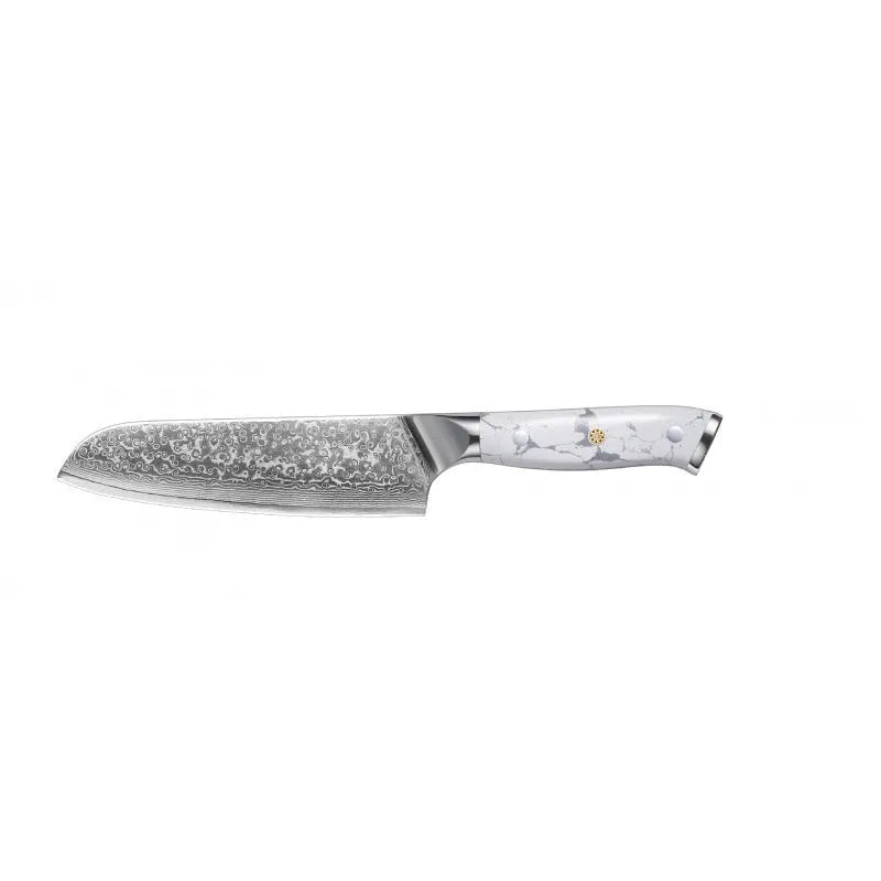 Damascus style combined chef's knife with VG10 steel blade, 21cm blade length on a wooden surface.