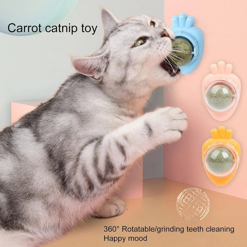 Blue carrot-shaped catnip ball with self-adhesive backing for wall-mounted dental cleaning