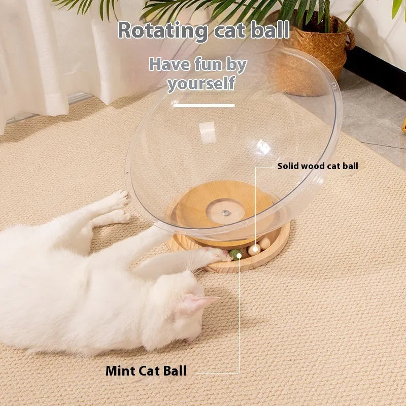 Transparent acrylic Cat Space Capsule Bathtub pet bed available in multiple sizes