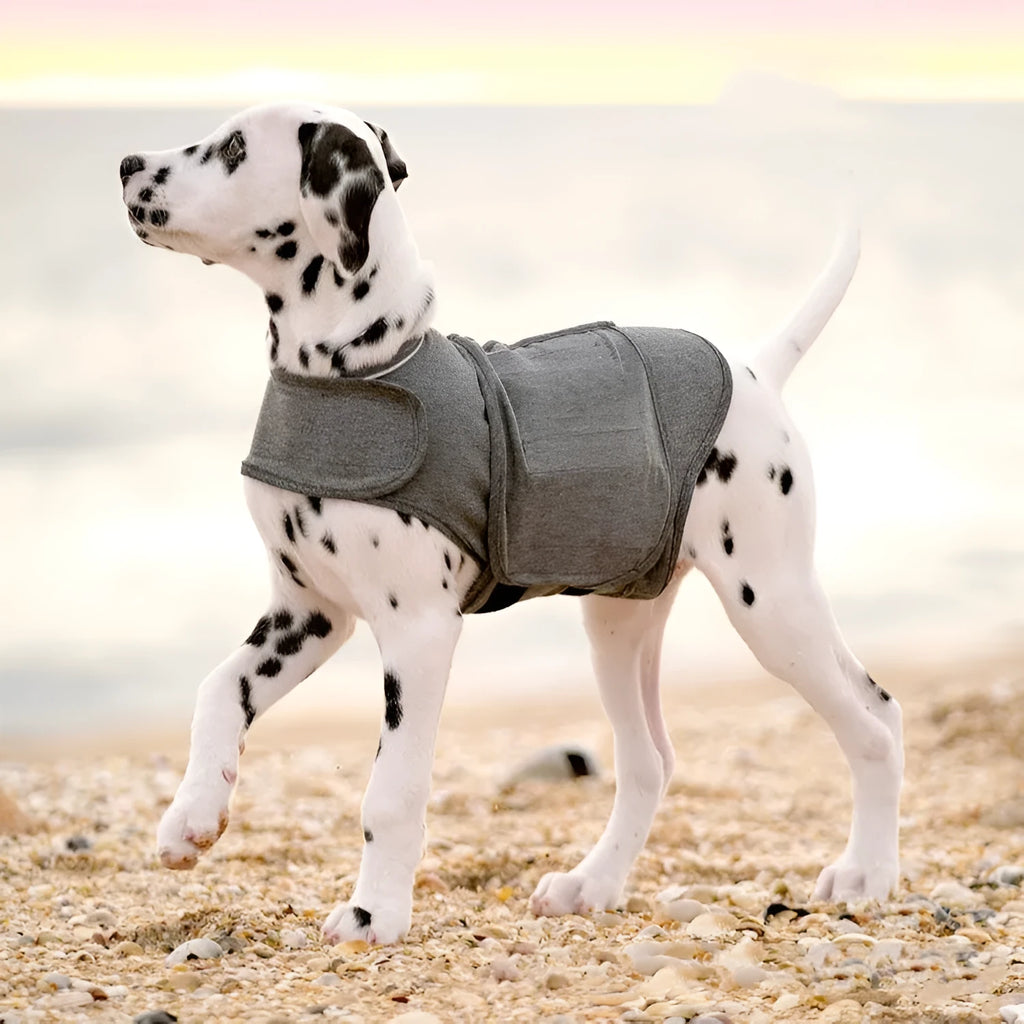 Heather grey dog anxiety jacket vest for medium dogs 12-18kg, made from brocade cotton ponte-de-roma fabric.