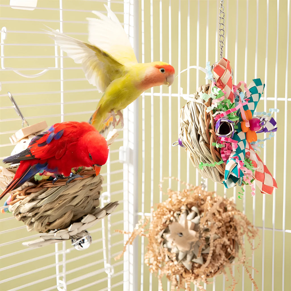 Three-type parrot gnawing toy bundle for medium to large birds