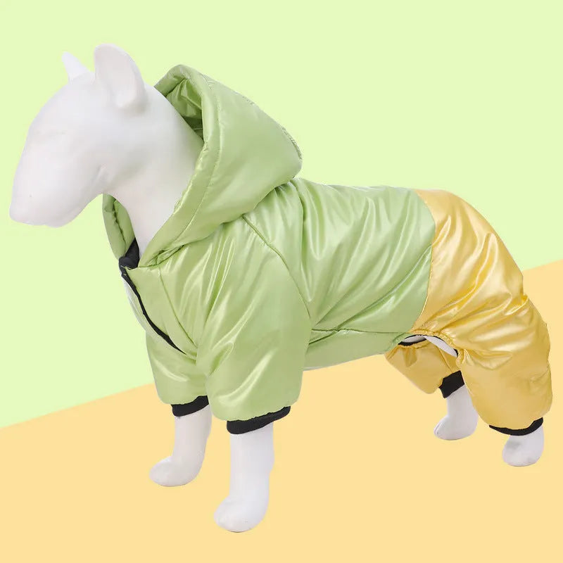 Green waterproof cotton padded dog coat with four-legged design on medium-sized dog