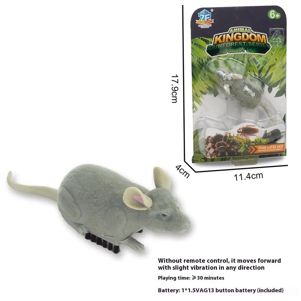 Electric vibration pet toy showing insect simulation design with walking trick mechanism