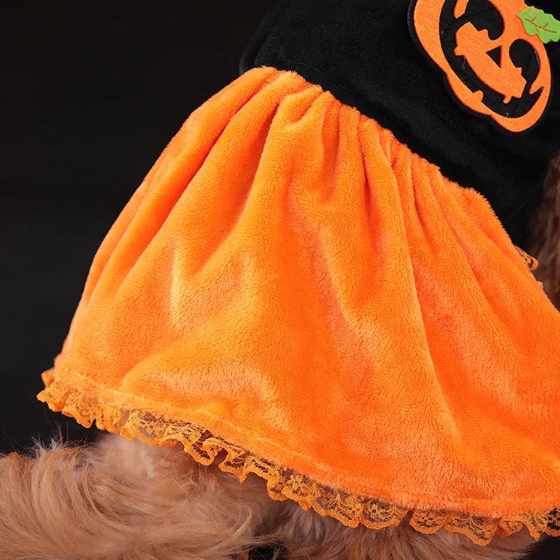 Crystal velvet Halloween pumpkin skirt costume for dogs and cats on mannequin