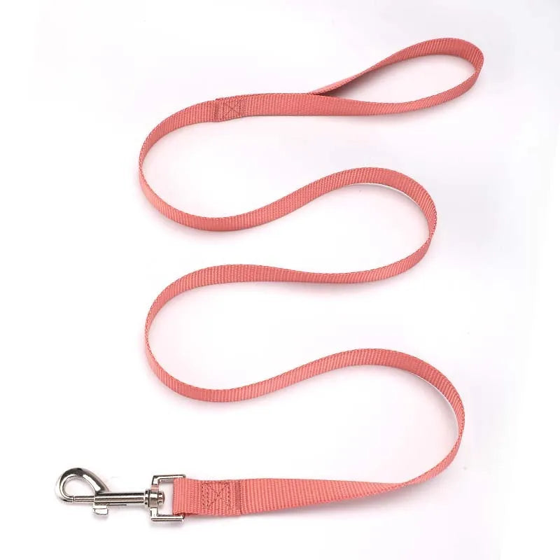 Solid colour dog lead rope in hand-holding loop design with various colour options displayed