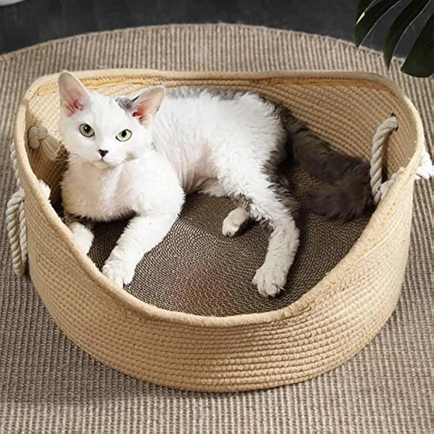 Wicker cat bed basket with integrated corrugated scratching board in two size options for indoor cats