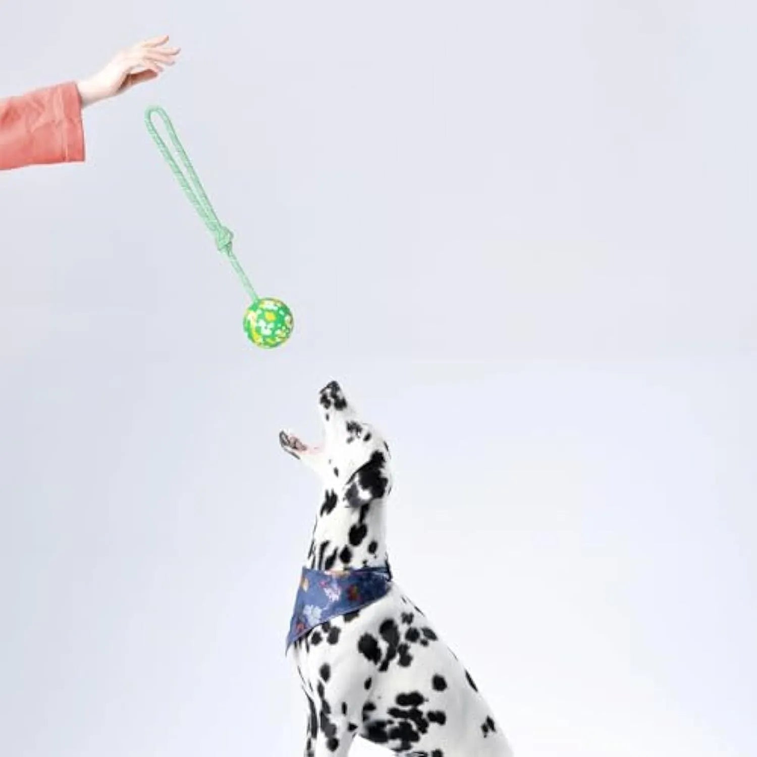 Dog rope ball toy with a solid rubber ball and attached nylon rope for fetch and tug games.