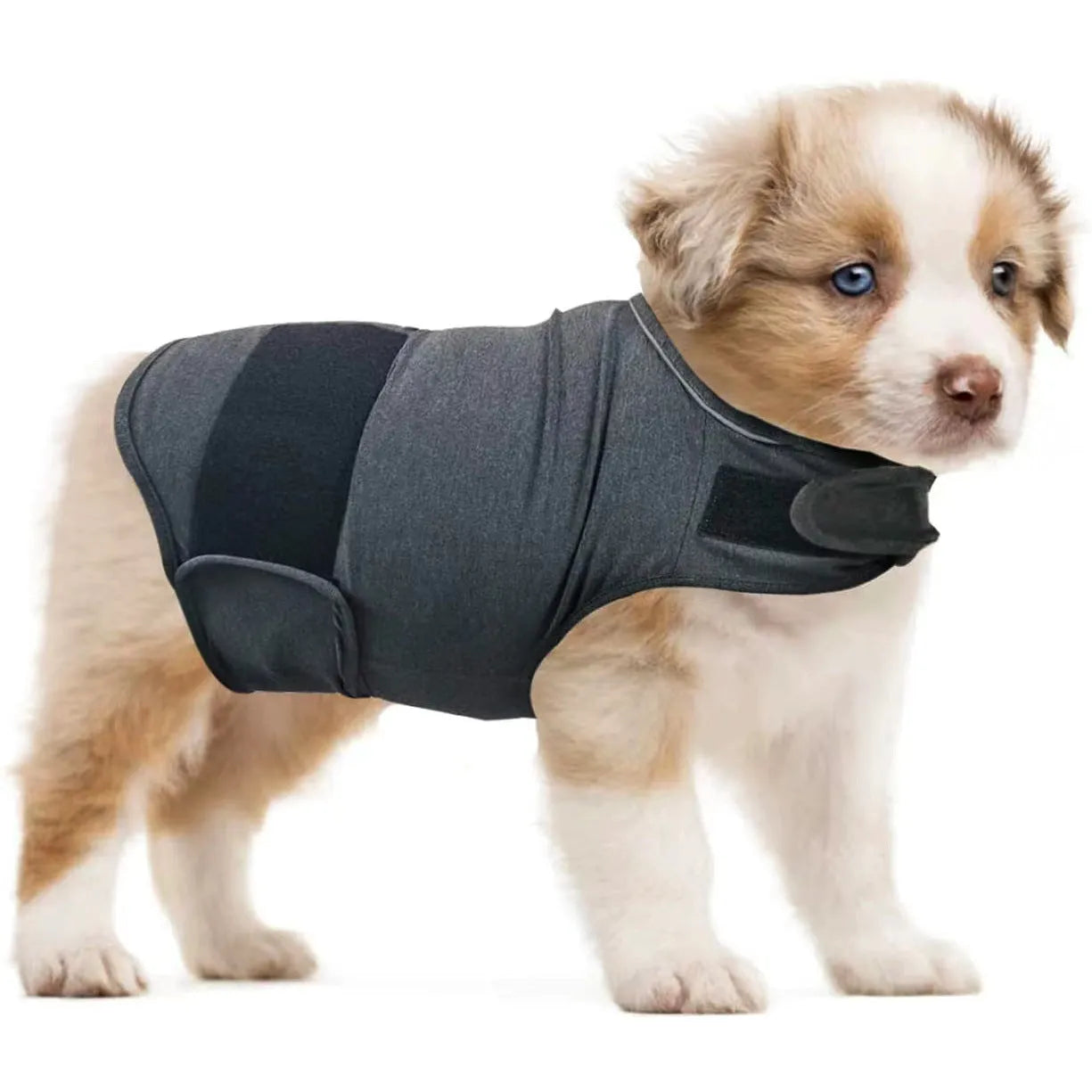 Dog wearing brocade cotton calming tank top for separation anxiety relief in Rose Red colour
