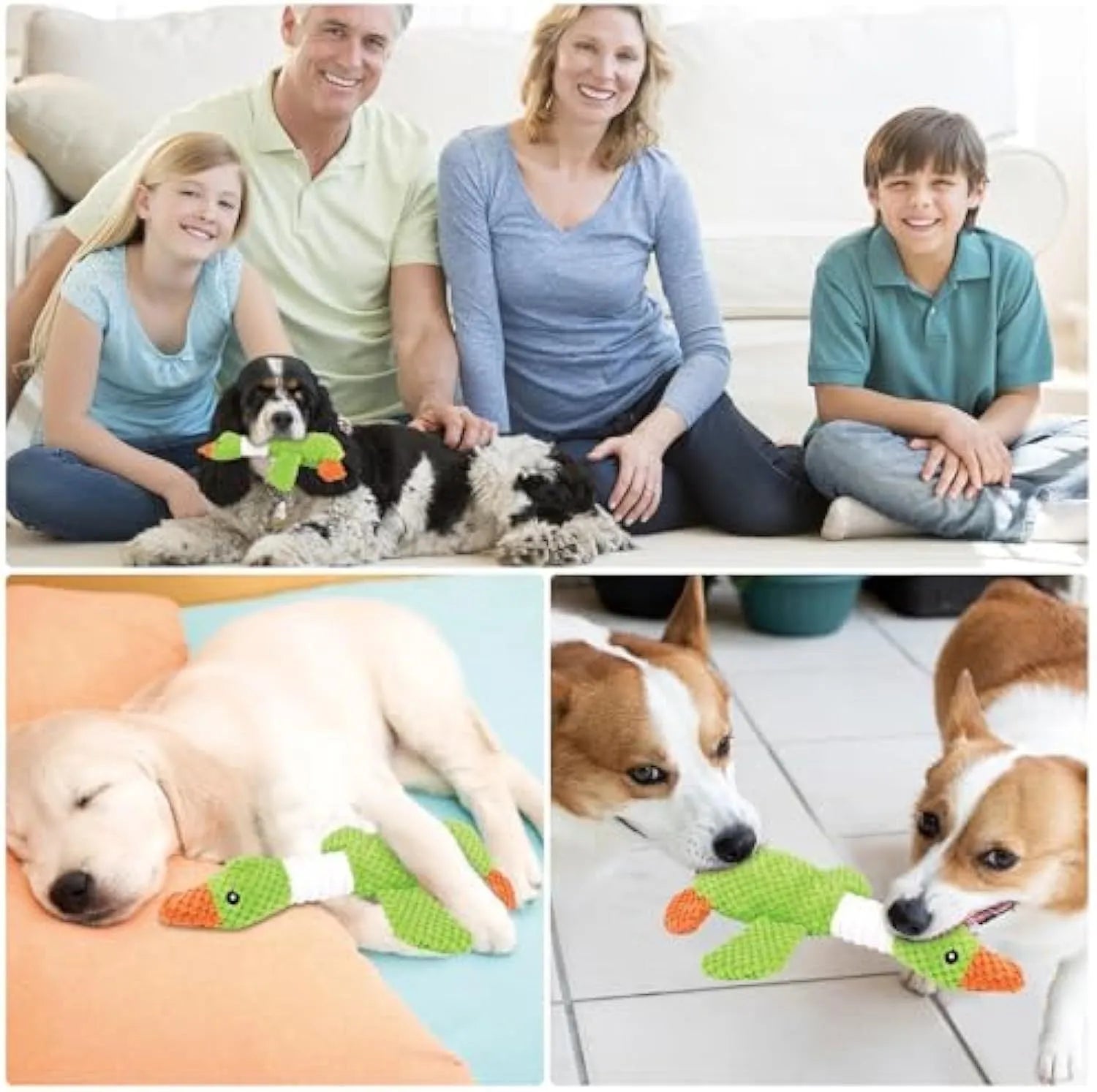 Blue durable dog plush duck toy with squeakers for large breed dogs