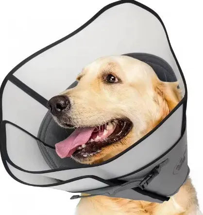 Adjustable fabric pet recovery collar in sizes L, M, XL, shown in double layer and single layer styles.