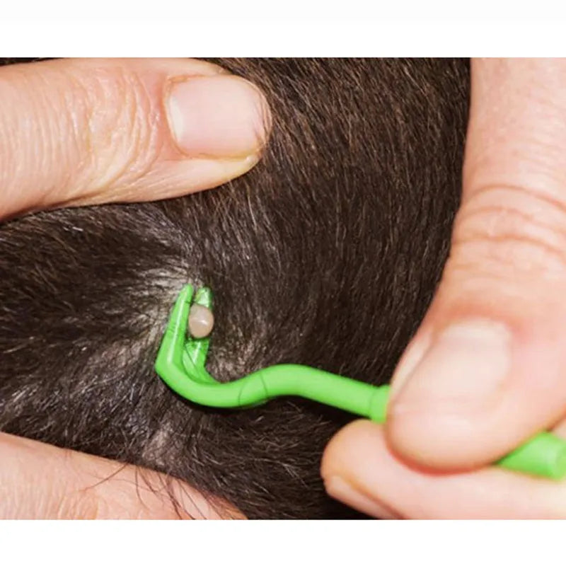 Three plastic tick removal hook tools for pet grooming in blue and green colours