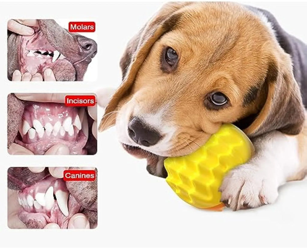 Blue and orange squeaky spiky rubber dog ball for aggressive chewers and dental health.
