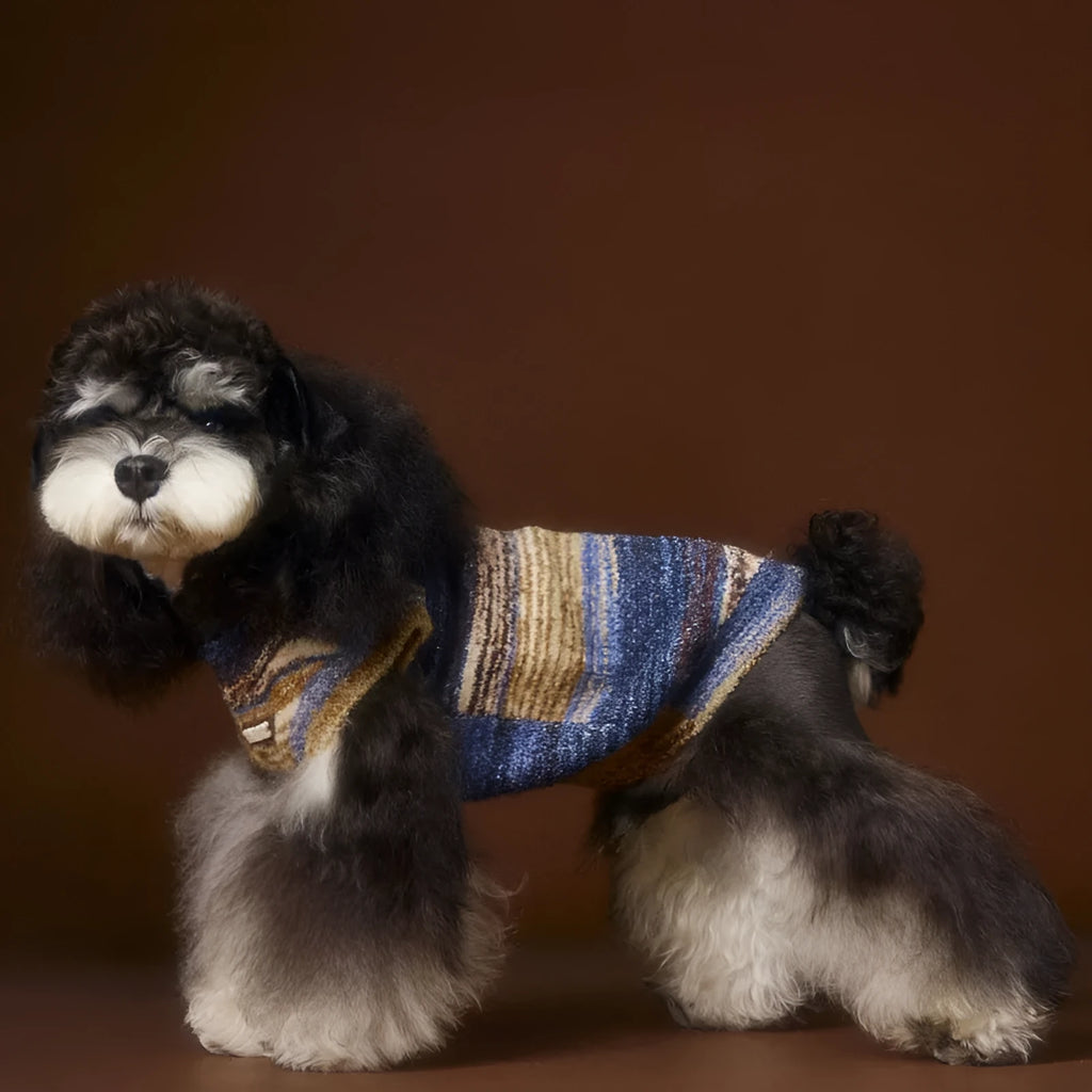 Rainbow stripes sleeveless polyester dog sweater vest in blue on a small dog