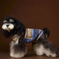 Rainbow stripes sleeveless polyester dog sweater vest in blue on a small dog