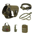 Dog wearing six-piece combat training vest in black polyester with multiple attachment points