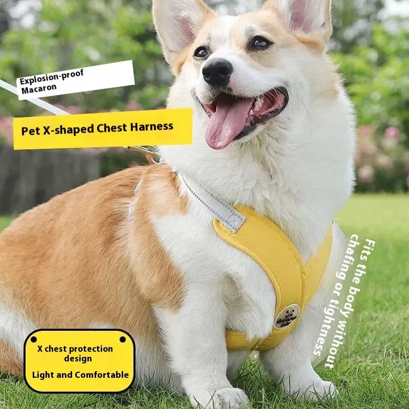 Adjustable dog harness and leash set in blue polyester with vest and hand-holding rope