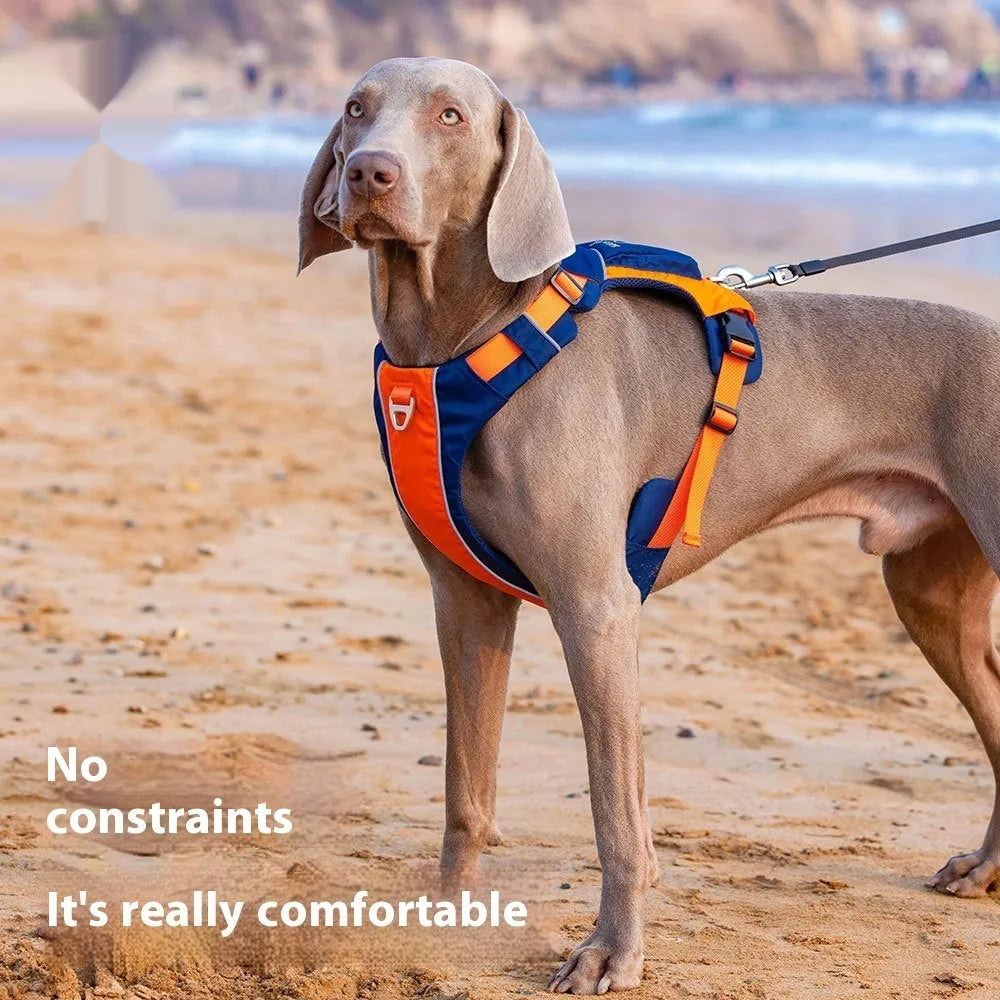 Orange blue dog chest strap vest harness with lead attachment for medium sized dogs