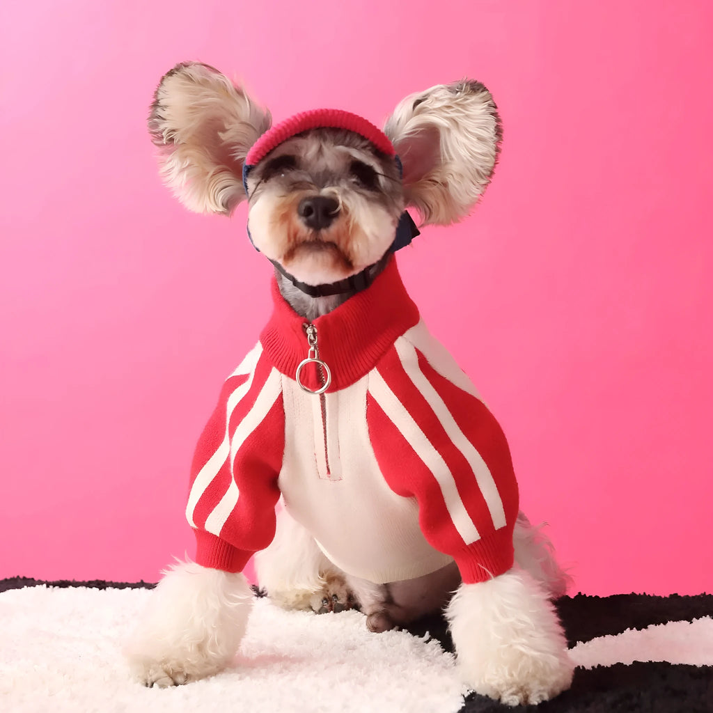 Dark green wool sports sweater cardigan for medium-sized dog on white background