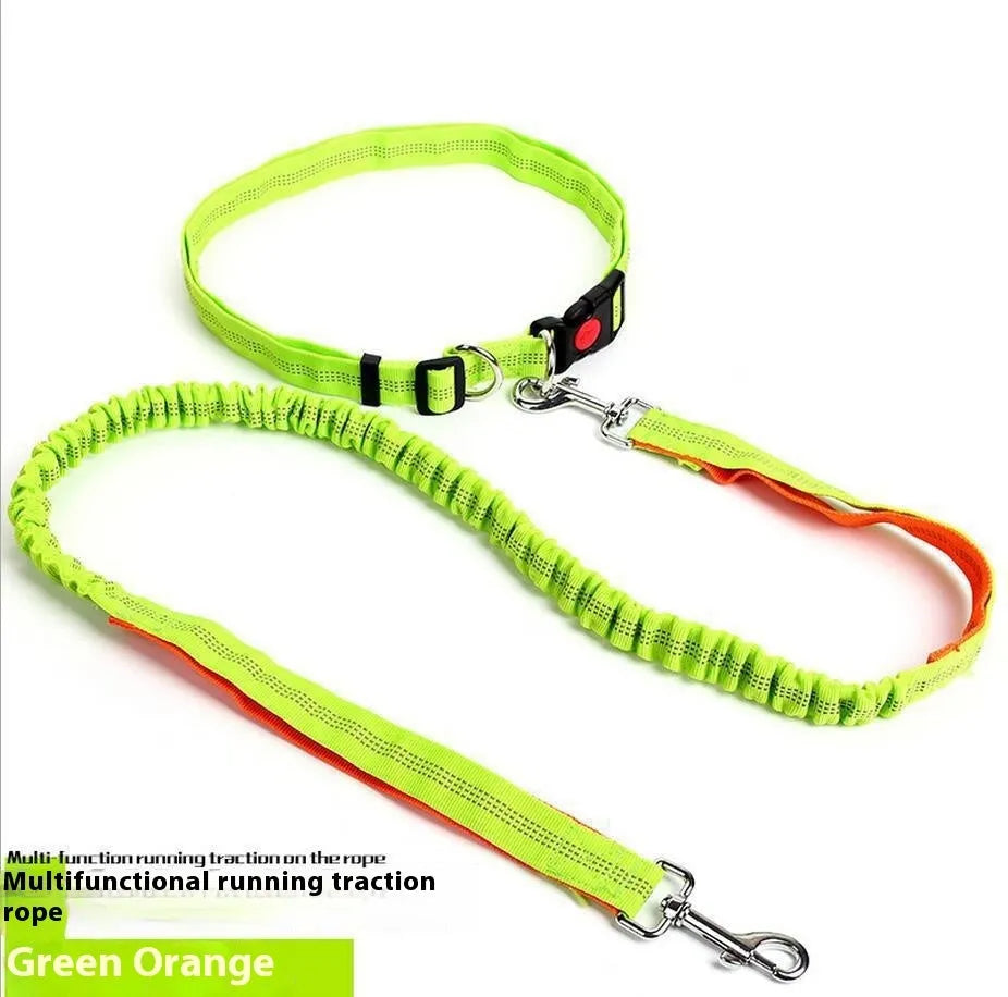 Grey and green elastic dog leash with reflective strip, showing clip and 2.5cm nylon width.