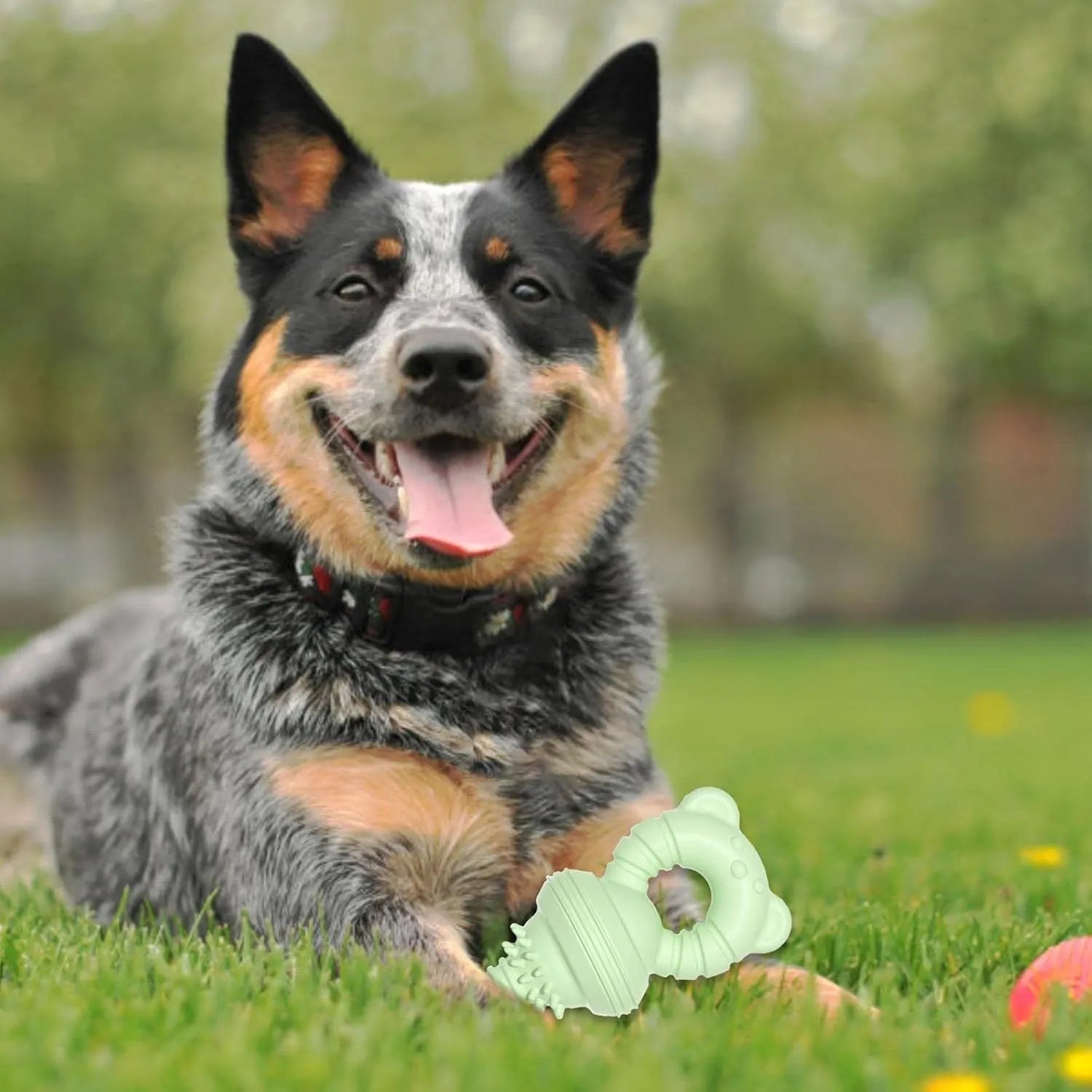 Blue rubber dog chew toy with textured surface and bell inside, shown next to a tape measure indicating 13.5cm diameter.