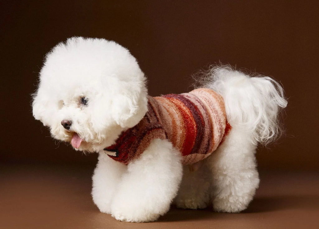 Rainbow stripes sleeveless polyester dog sweater vest in blue on a small dog
