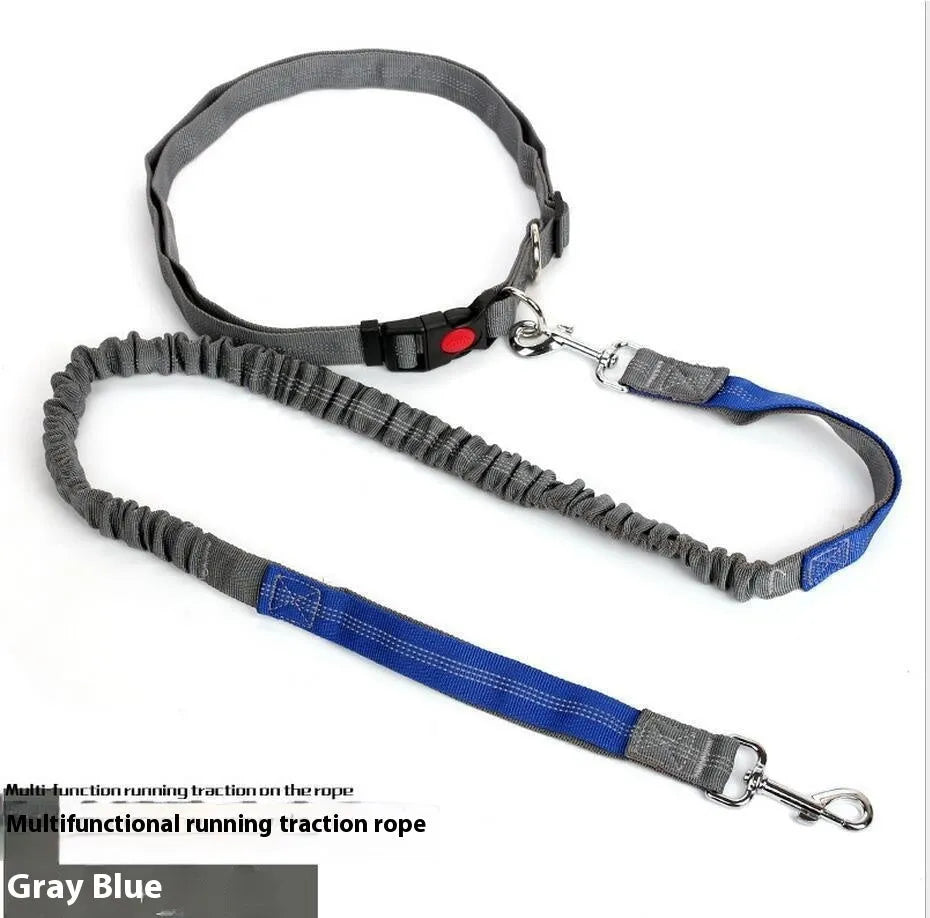 Grey and green elastic dog leash with reflective strip, showing clip and 2.5cm nylon width.
