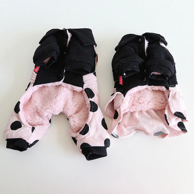 Petstyle lapel collar dog clothing in a four-legged suit style on a model dog.