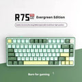 Wireless mechanical keyboard with RGB backlighting and hot-swappable switches in multiple colour options
