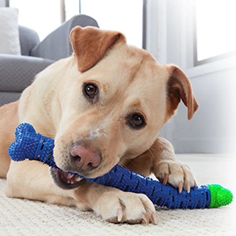Blue green silicone dog dental toy with brush head design and massage nodules for teeth cleaning