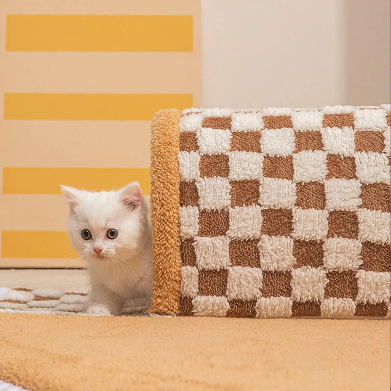 Fan-shaped plush pet bed with integrated tunnel, XL size 80cm, coffee colour with anti-slip base
