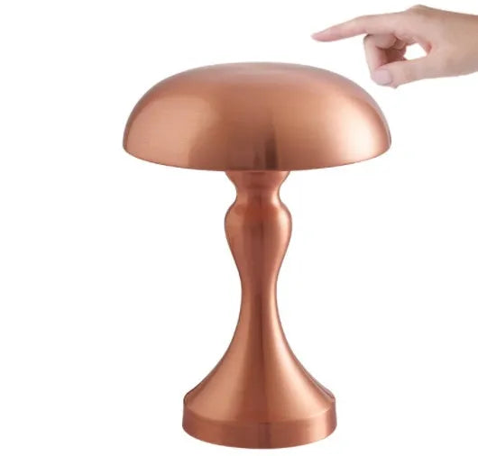 Metallic USB-rechargeable LED desk lamp with touch control for three light colours on a wooden desk.